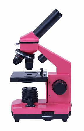 Микроскоп Levenhuk Rainbow 2L NG Rose\Роза