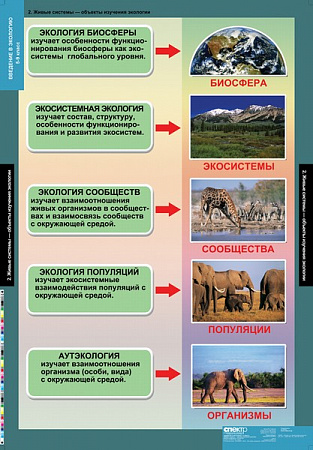 Биология. Введение в экологию