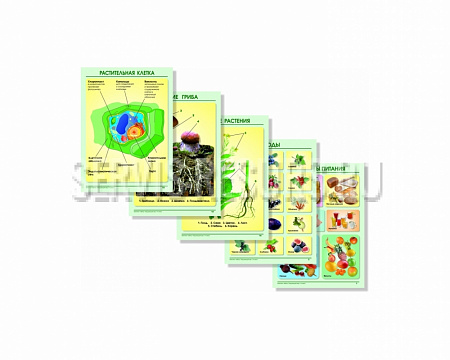 Комплект таблиц по окружающему миру для 1- 4 кл. Растения. Животные 20 таблиц (формат А2)